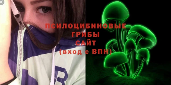 ГАЛЛЮЦИНОГЕННЫЕ ГРИБЫ Богородицк