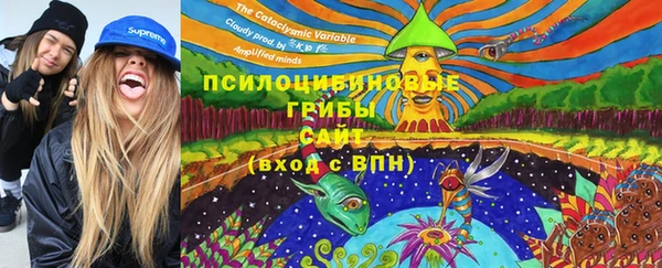 мяу мяу кристалл Богданович